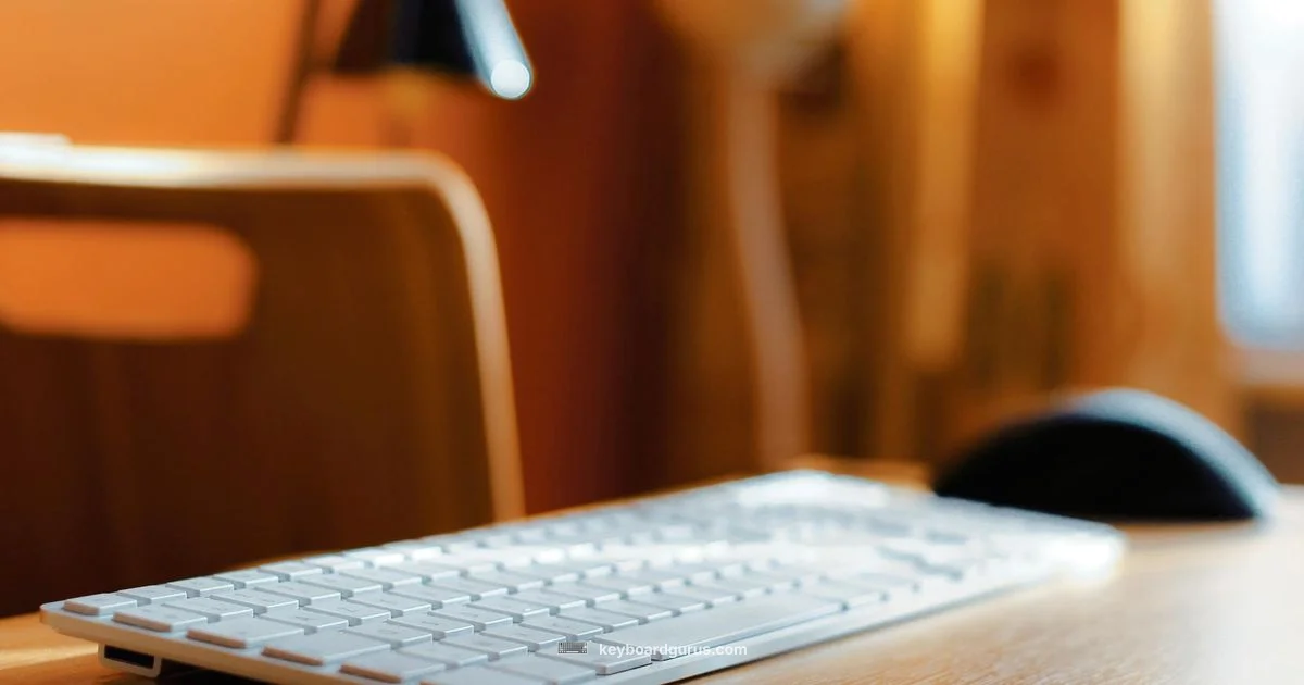 Ergonomic Keyboard Essentials - Keyboard Gurus