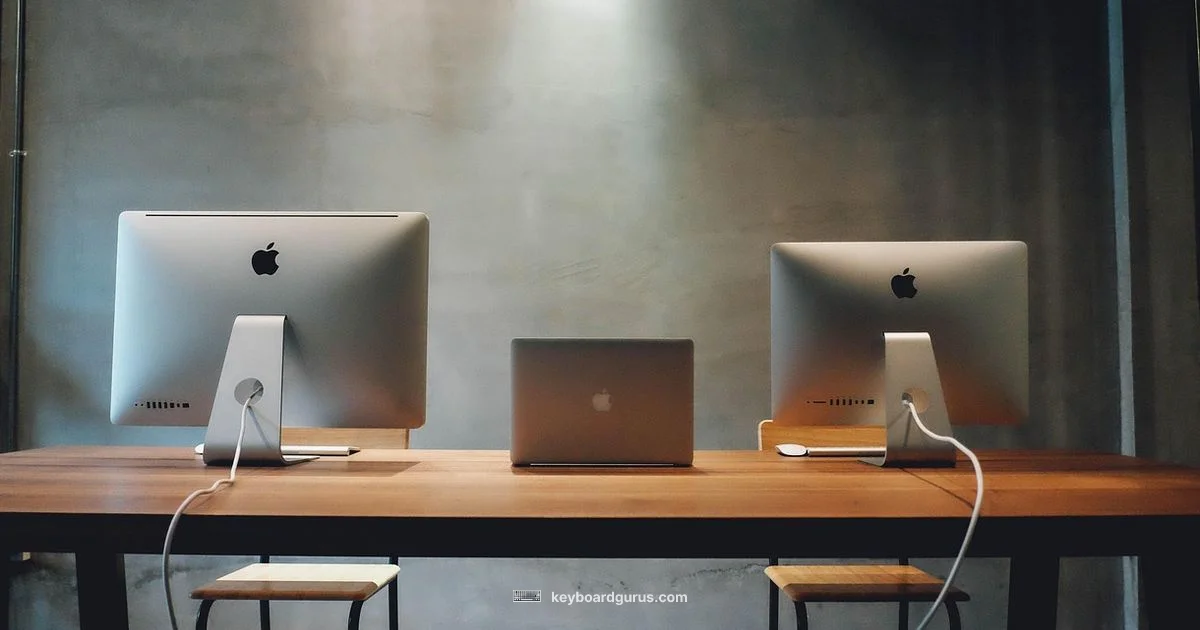 Gaming Keyboard Reddit - Keyboard Gurus