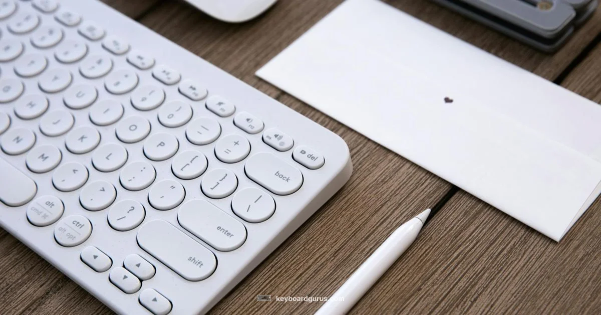 Portable Keyboard Picks - Keyboard Gurus