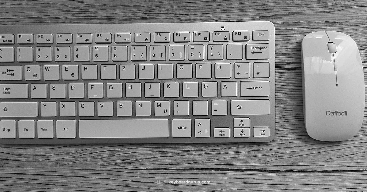 White Keyboard Guide - Keyboard Gurus