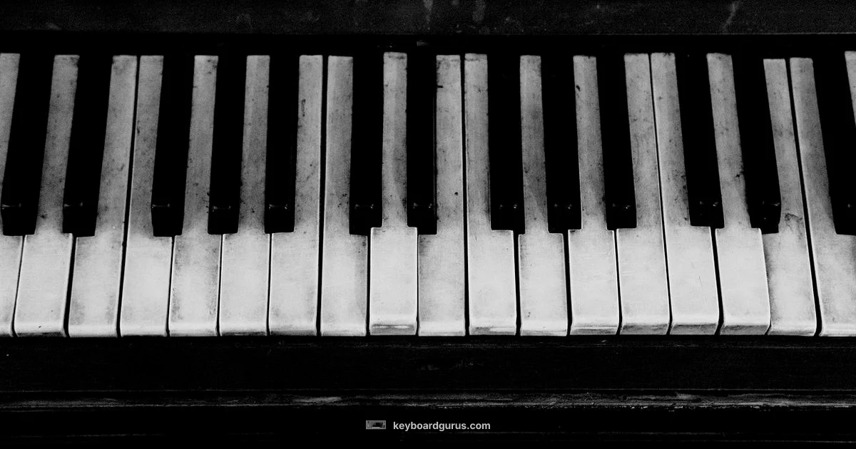 Piano Key Basics - Keyboard Gurus