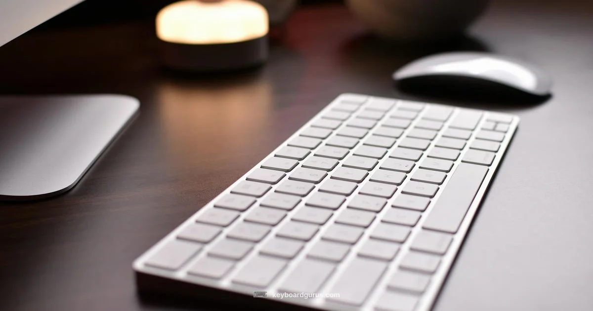 Keyboard Stand Setup - Keyboard Gurus