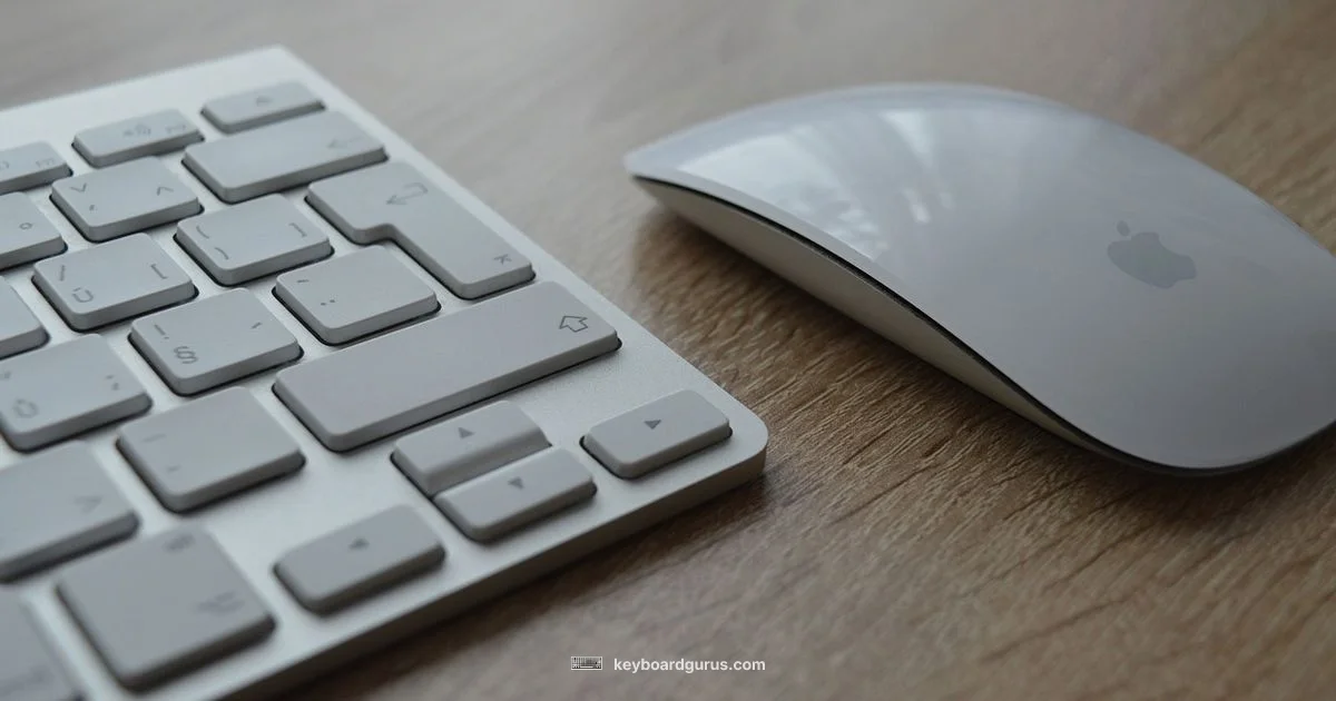 Price Guide 2026 - Keyboard Gurus