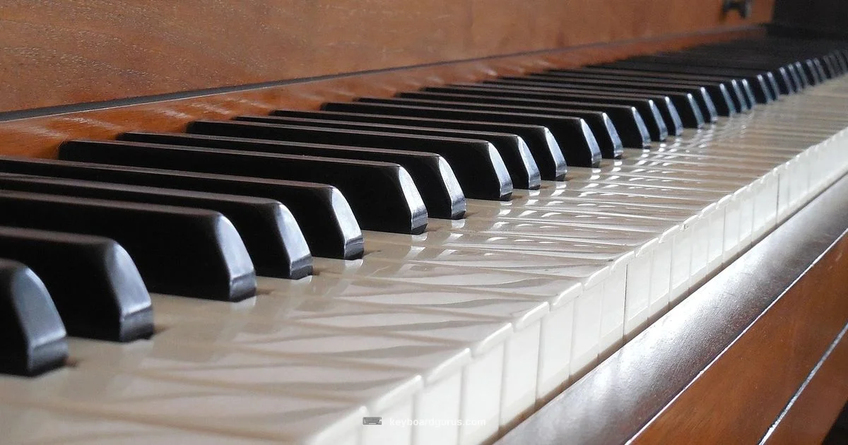 Chords on Keys - Keyboard Gurus