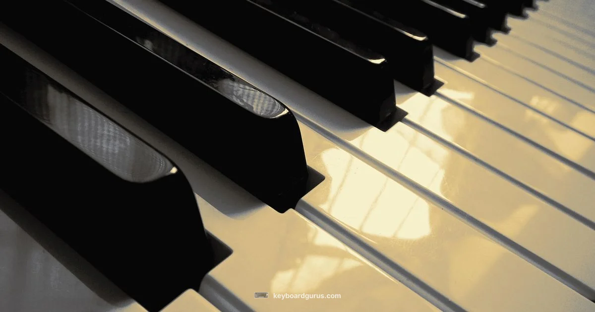 Learn Piano Right Learn Piano Right - Keyboard Gurus