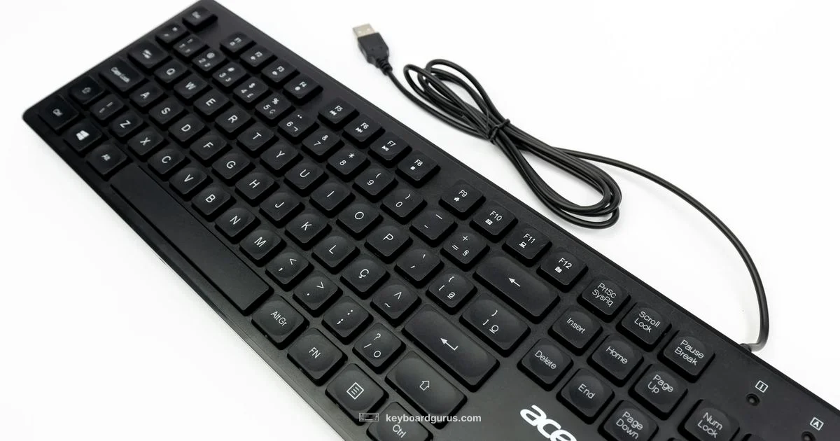 Slash Key Concept - Keyboard Gurus