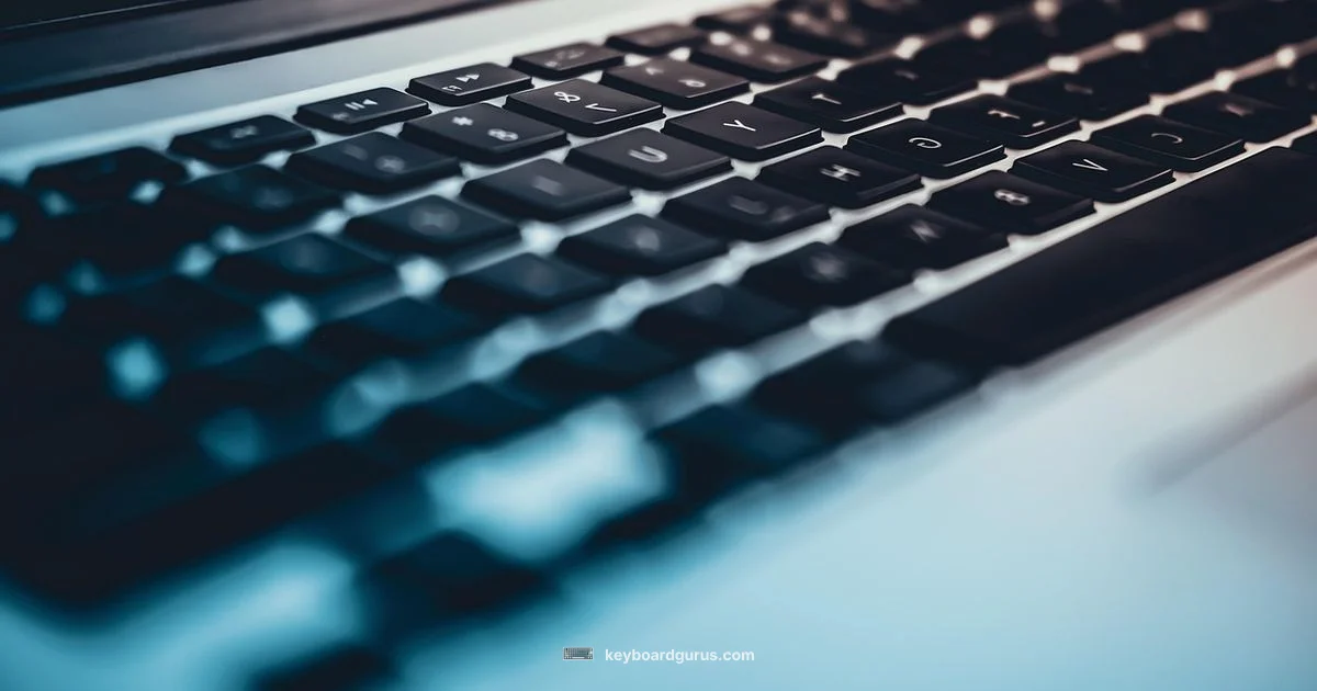 Keyboard Price Guide - Keyboard Gurus