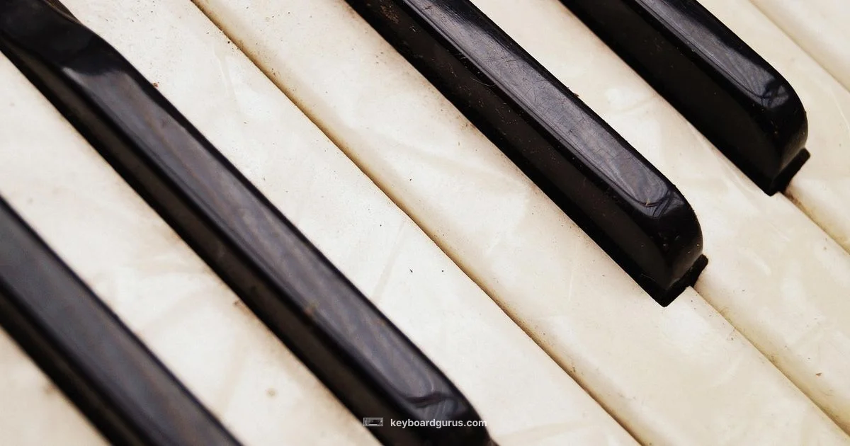 Piano Accordion Keyboard Guide - Keyboard Gurus