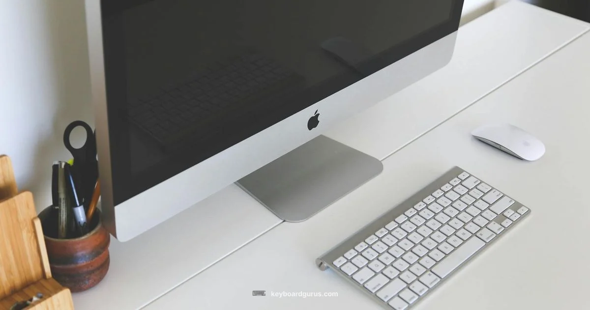 Easy Keyboard Guide - Keyboard Gurus