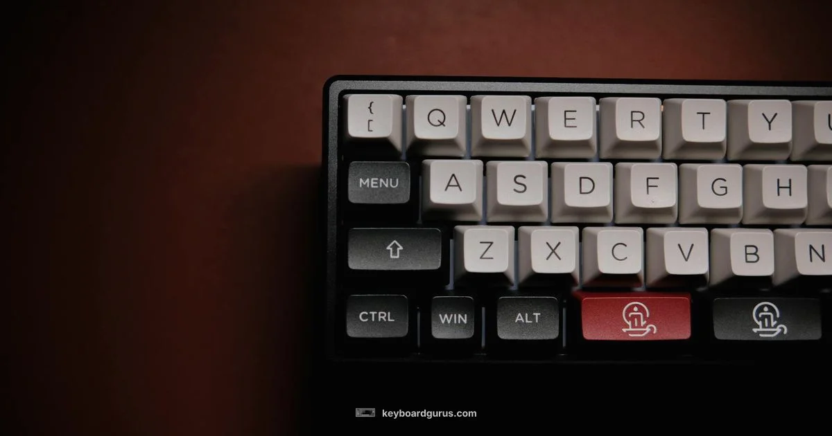 MX Mechanical Overview - Keyboard Gurus