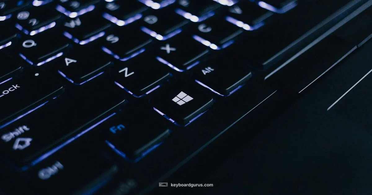 LED Backlit Keyboard - Keyboard Gurus