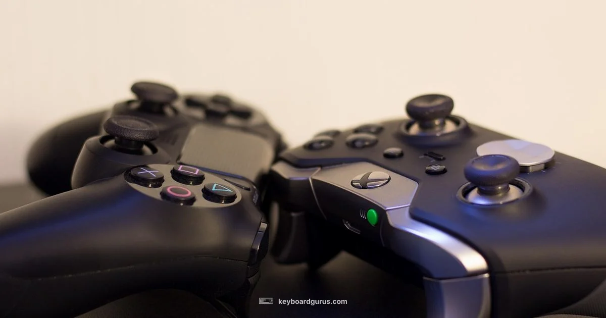 Fortnite Input Showdown - Keyboard Gurus