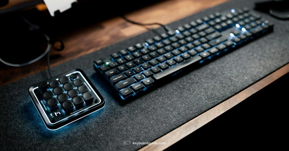 Undo Keyboard Shortcut Undo Keyboard Shortcut - Keyboard Gurus