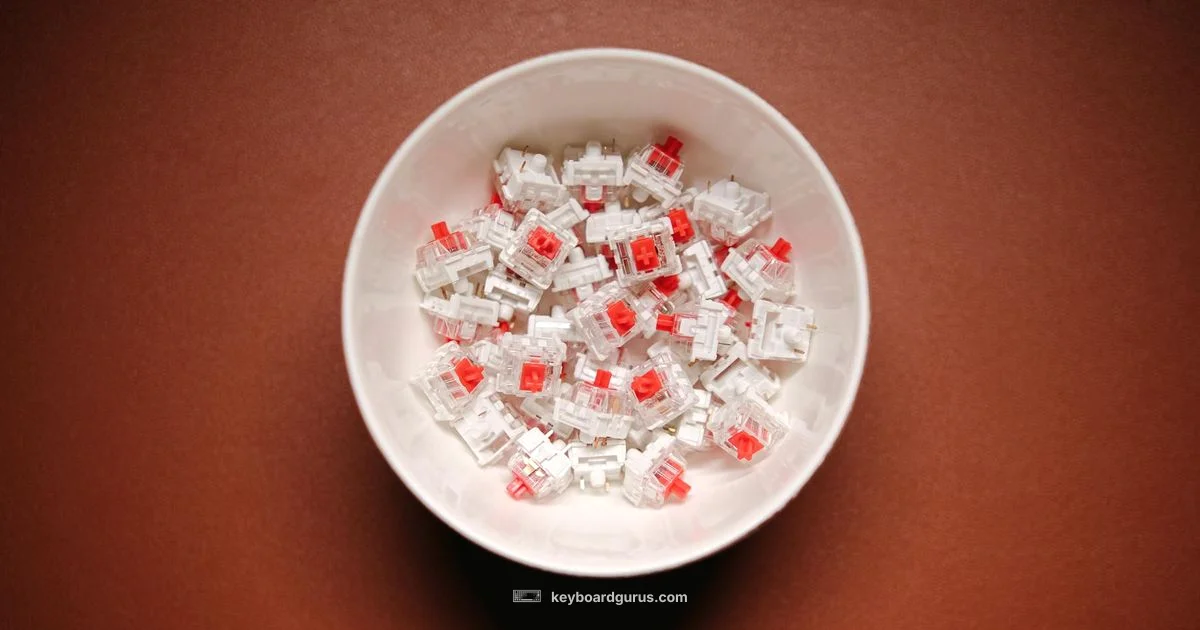 Linear Switch Guide Linear Switch Guide - Keyboard Gurus