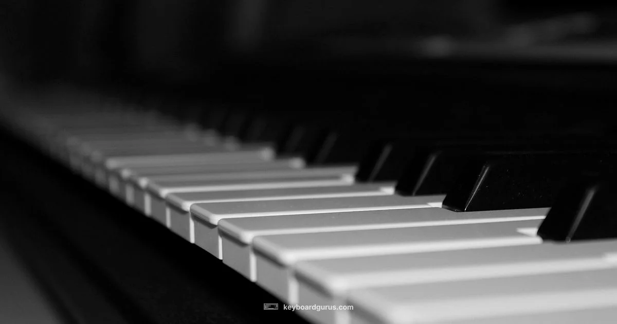 Piano Keyboard Drawing - Keyboard Gurus