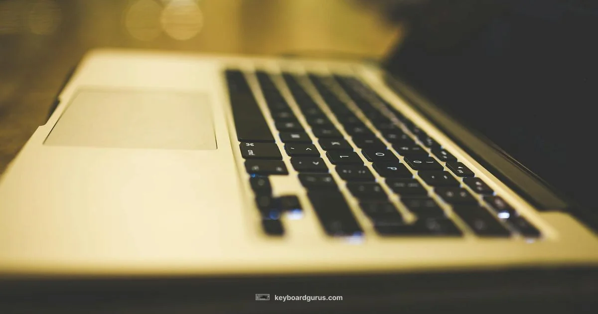 Chiclet vs Normal - Keyboard Gurus