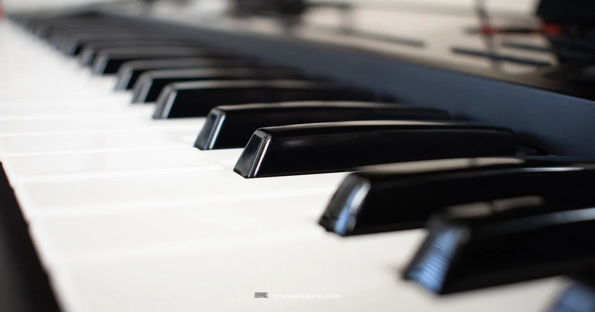 Keyboard Music Guide - Keyboard Gurus