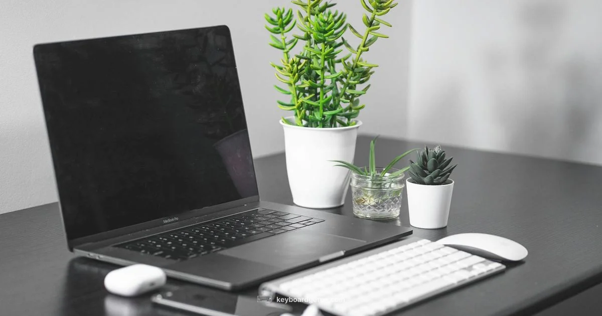 Top Mac Keyboards Top Mac Keyboards - Keyboard Gurus