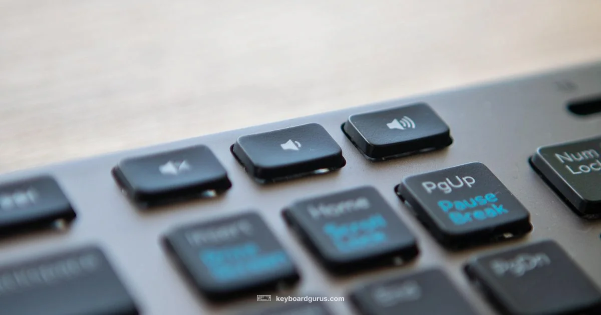 Proper Keyboarding - Keyboard Gurus