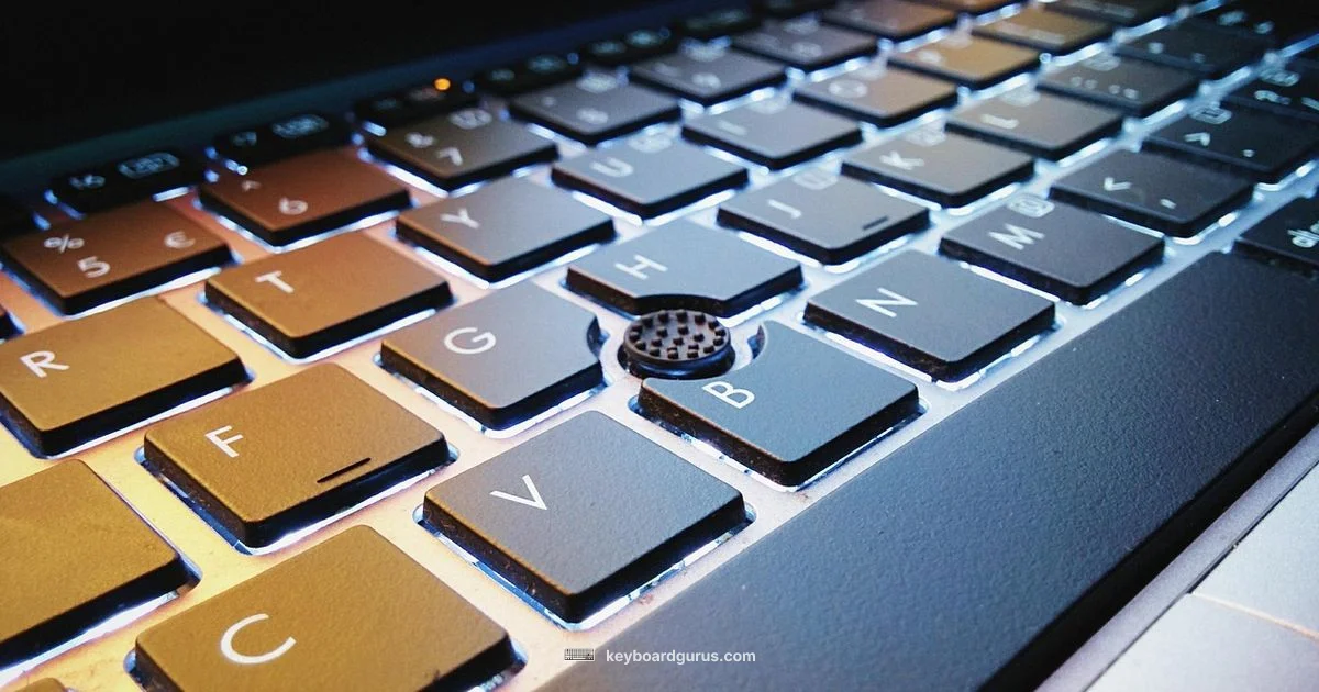 Disable Laptop Keyboard - Keyboard Gurus