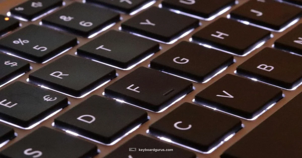 Num Lock Essentials - Keyboard Gurus