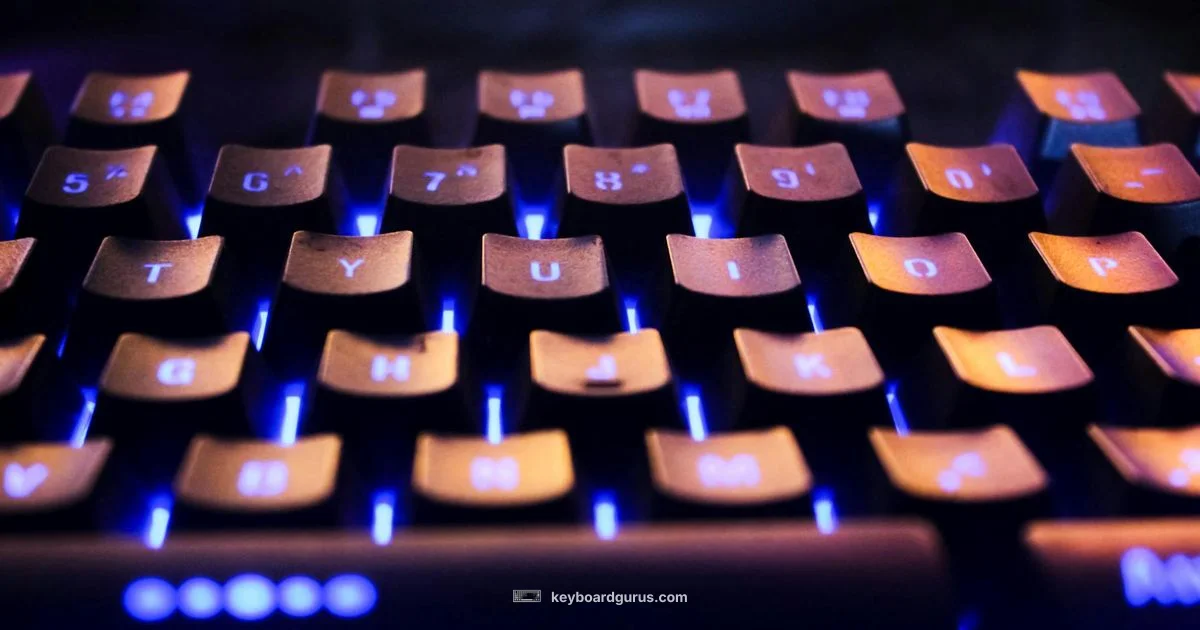 Backlit Keyboard - Keyboard Gurus