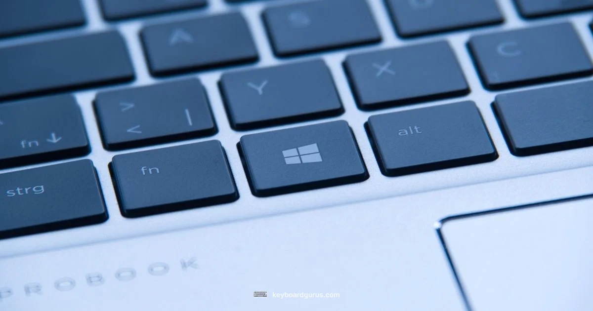Windows 11 Keyboard Setup - Keyboard Gurus
