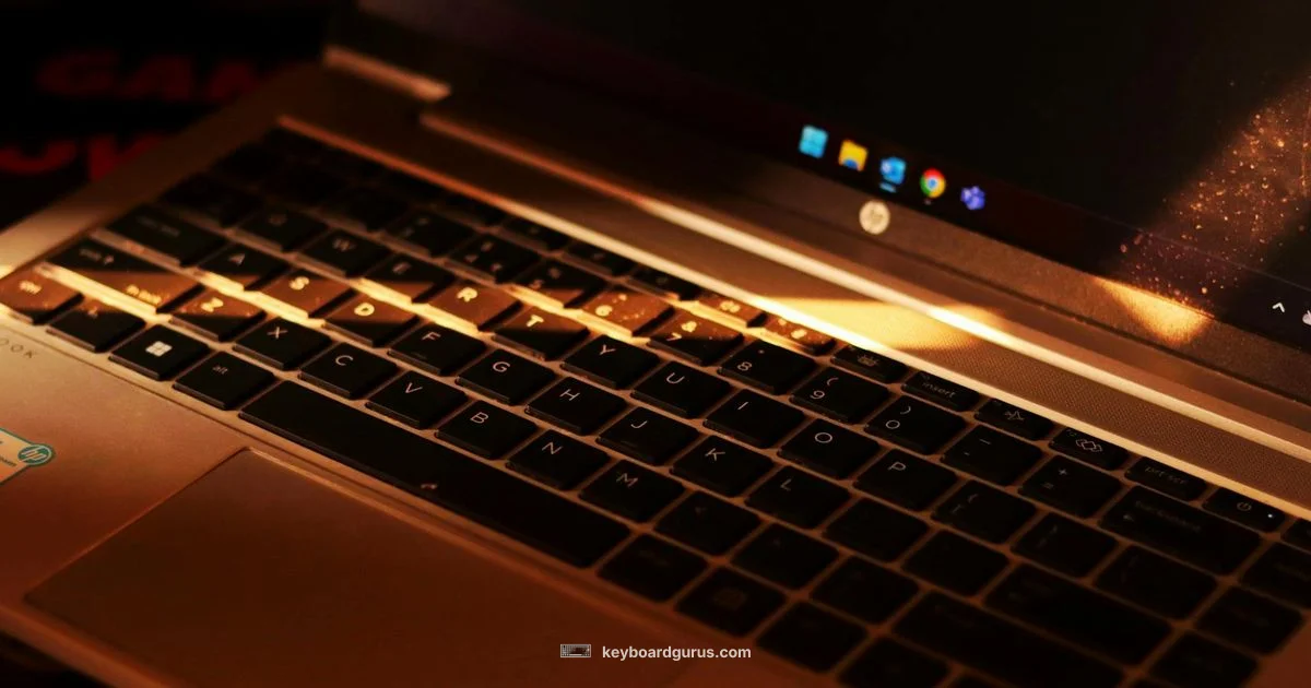 HP Laptop Keyboard Guide HP Laptop Keyboard Guide - Keyboard Gurus