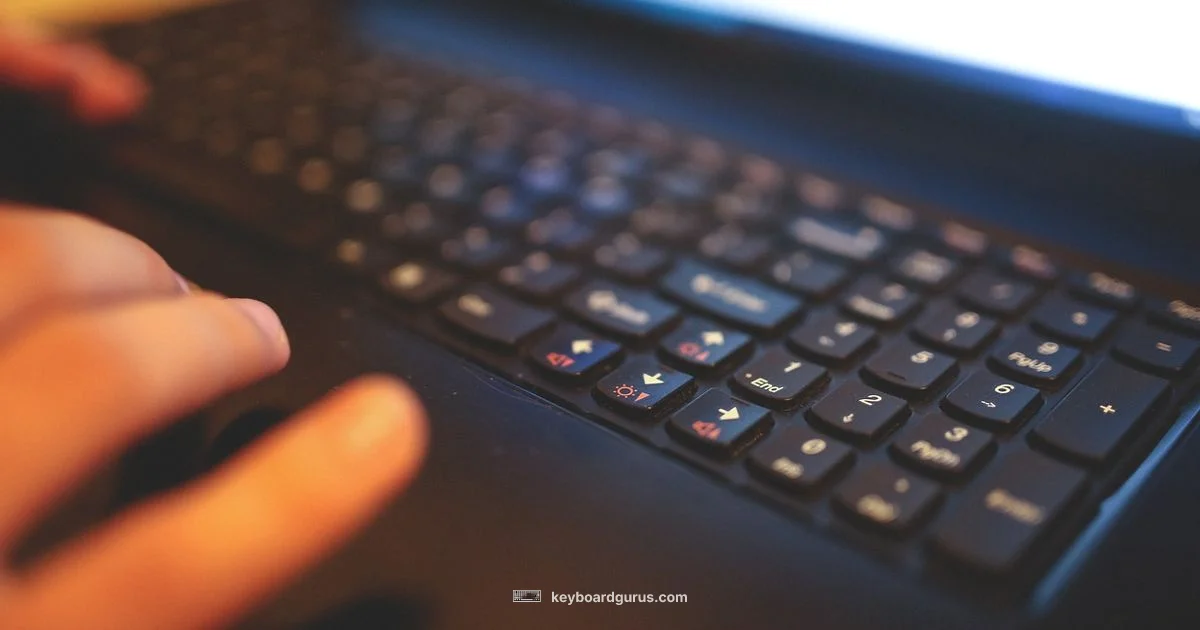 Clicky Switch Guide Clicky Switch Guide - Keyboard Gurus