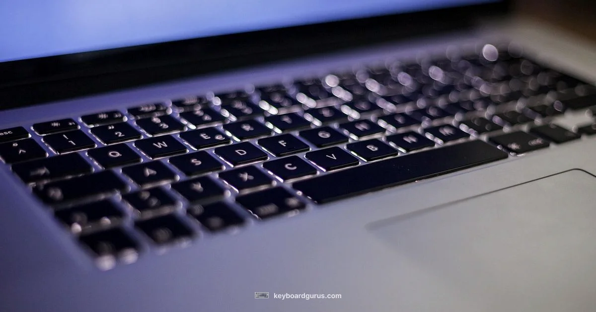 Mechanical vs Membrane - Keyboard Gurus