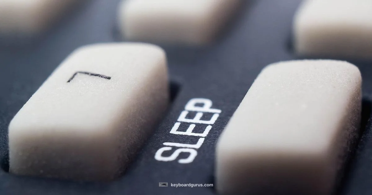 Key Details Key Details - Keyboard Gurus