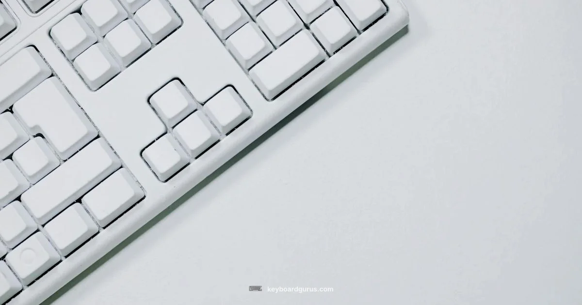60 Percent Keyboard - Keyboard Gurus