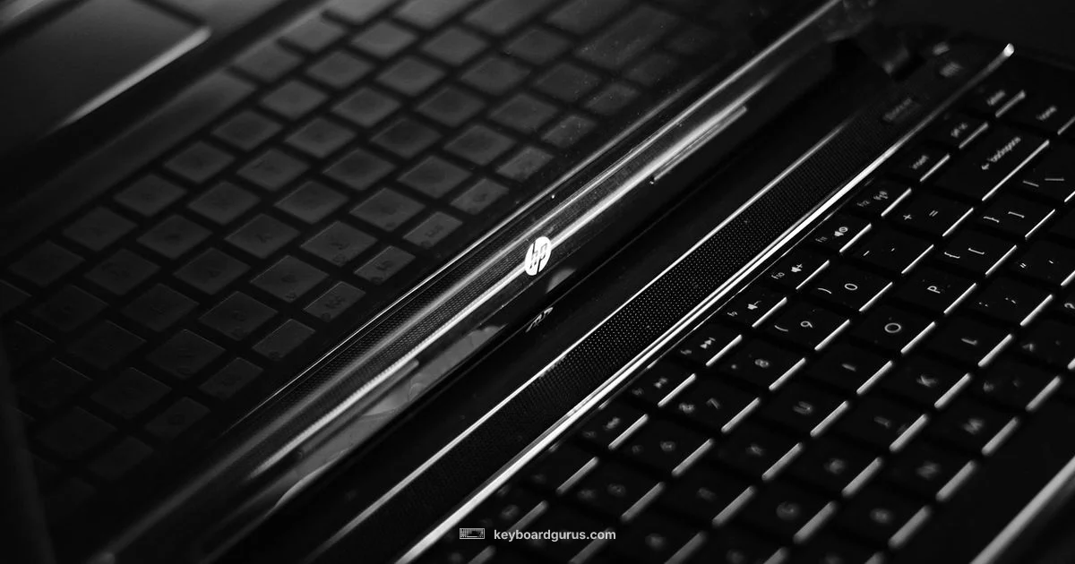 Computer Keyboard Overview - Keyboard Gurus