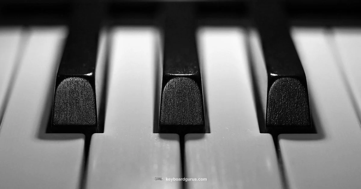 Keyboard Macros Explained - Keyboard Gurus