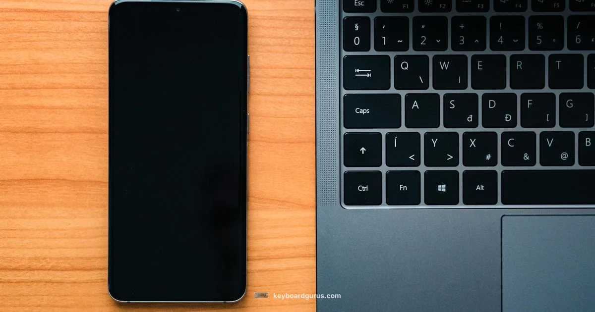 MX Keys Overview - Keyboard Gurus