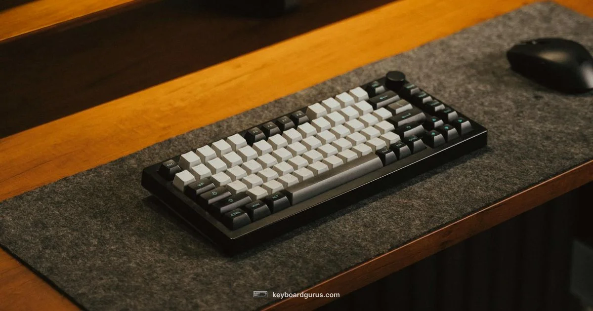 Split Keyboard Guide - Keyboard Gurus