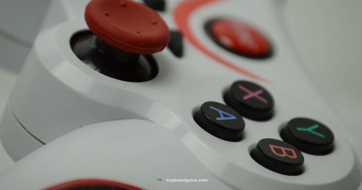 Silksong Input Silksong Input - Keyboard Gurus