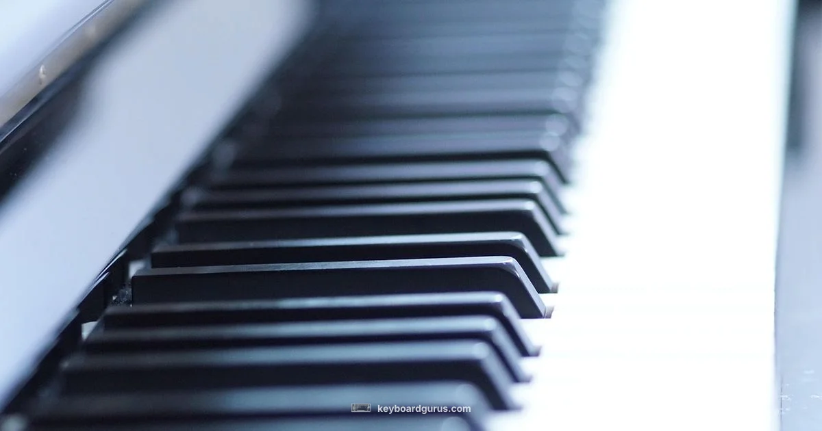 Organ vs Keyboard - Keyboard Gurus