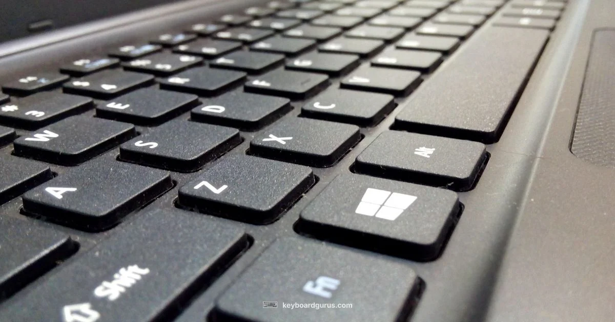 Key Switch Guide - Keyboard Gurus