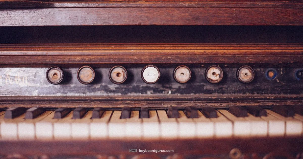 Piano Keyboard Guide - Keyboard Gurus