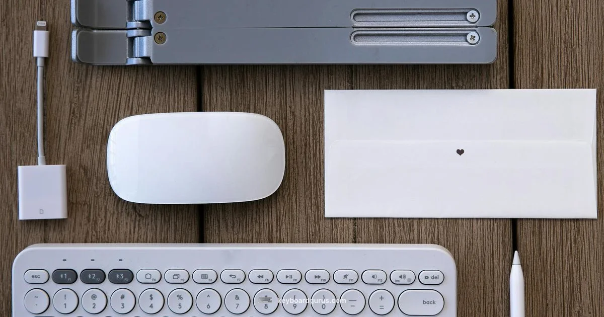 America Keyboard Guide America Keyboard Guide - Keyboard Gurus