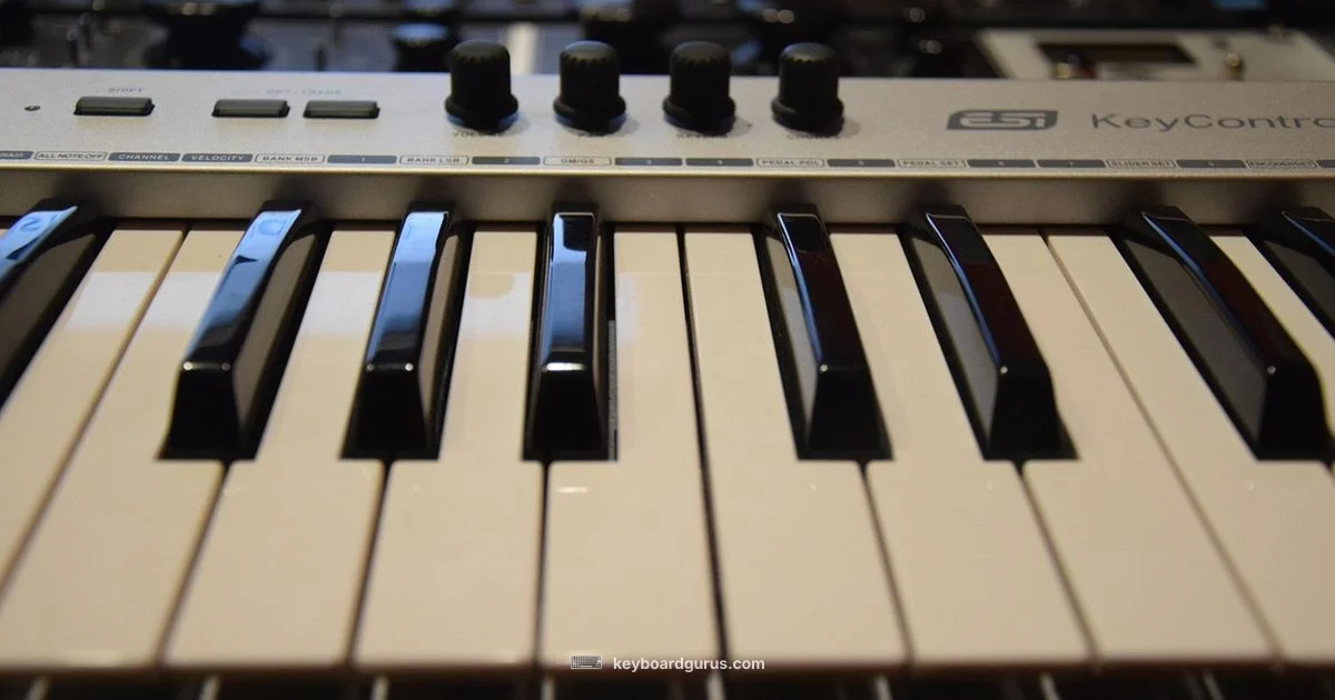 88 Key Digital Piano - Keyboard Gurus