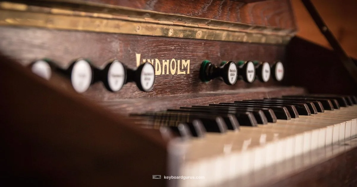 Keyboard Instruments Guide - Keyboard Gurus