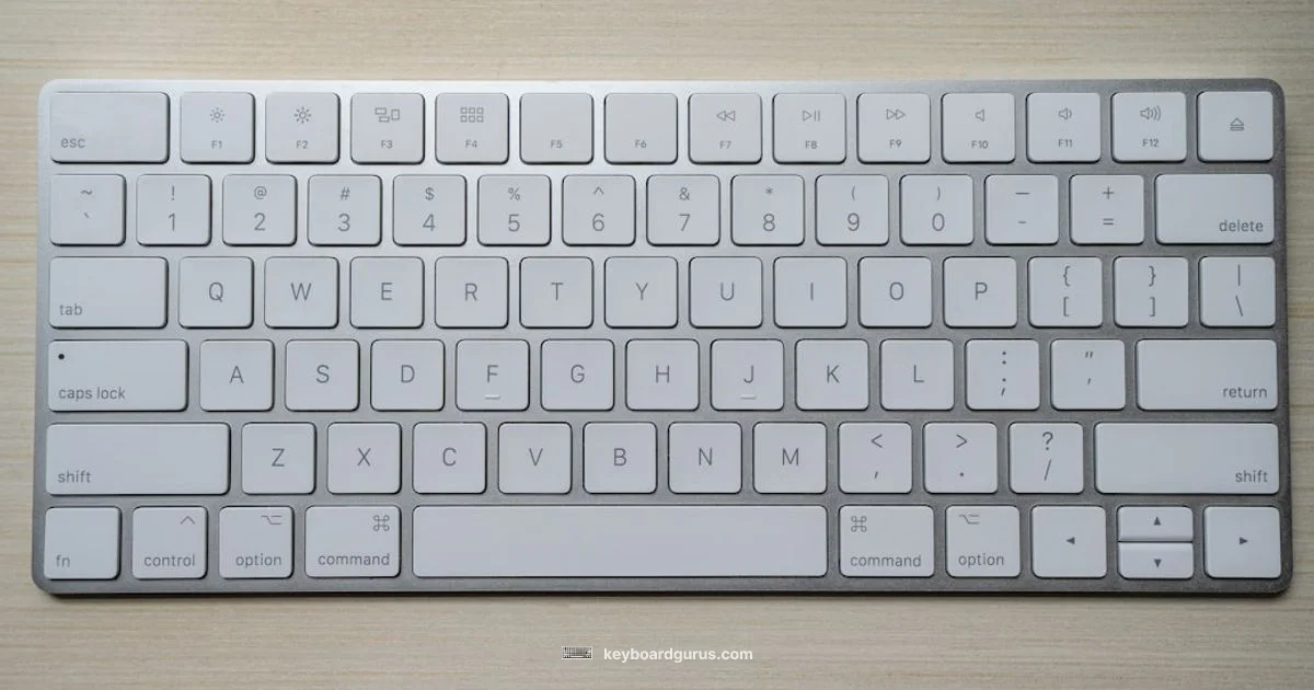 Is It My Keyboard - Keyboard Gurus