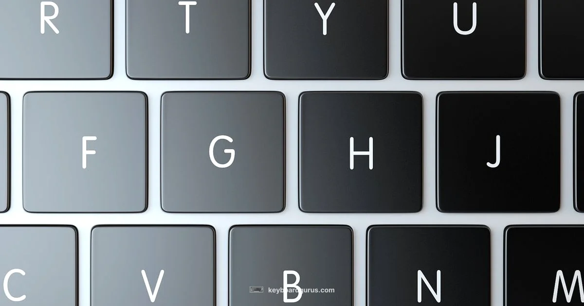 Backlight Guide Backlight Guide - Keyboard Gurus