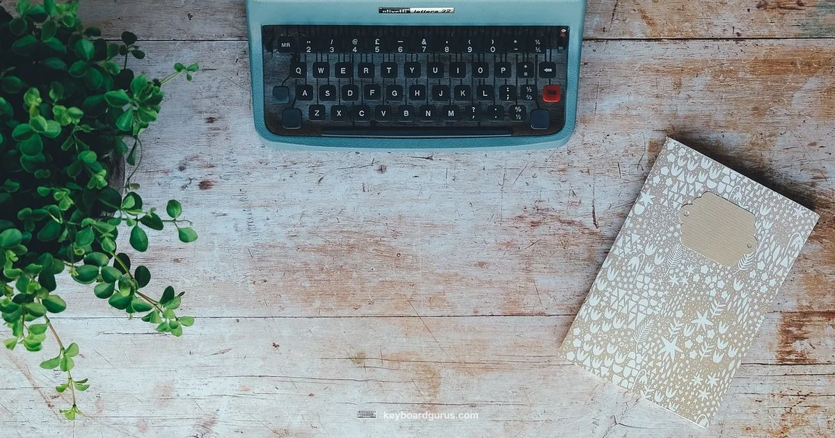 XT Keyboard Guide - Keyboard Gurus