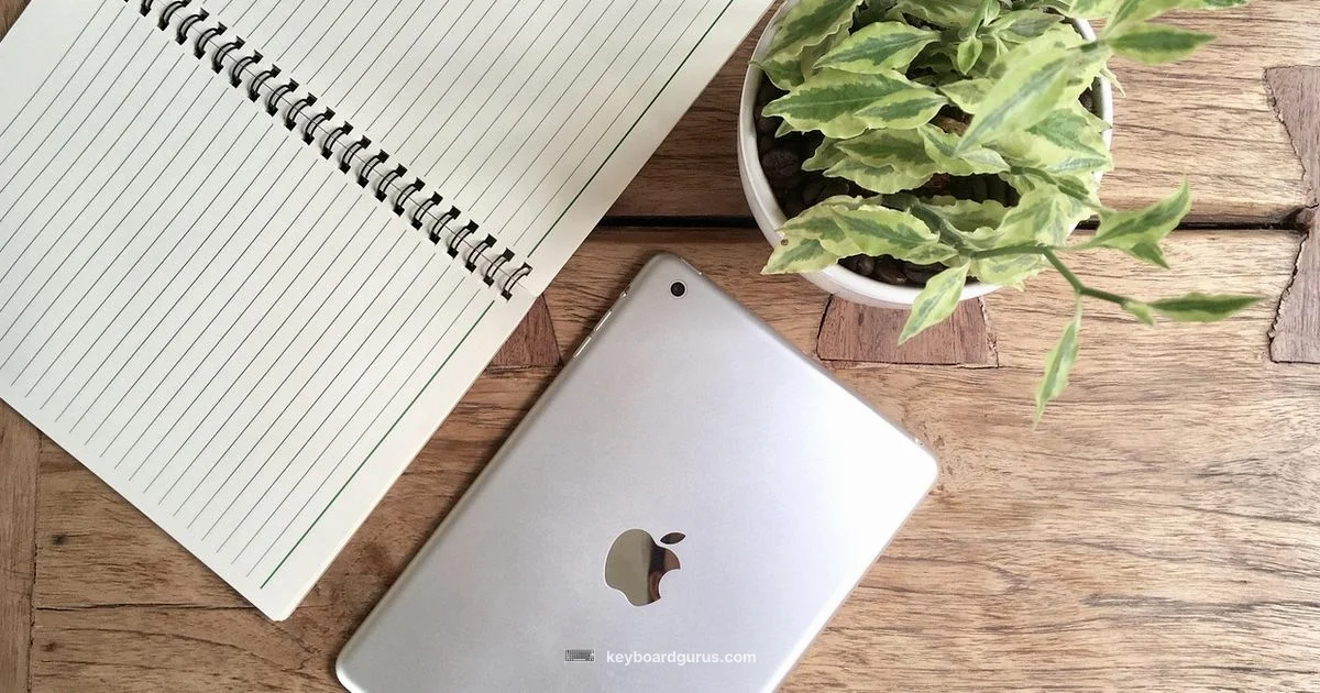 iPad Air Keyboard Guide iPad Air Keyboard Guide - Keyboard Gurus