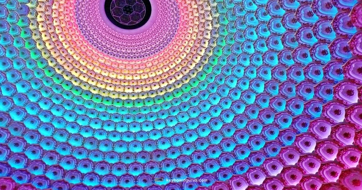 Illuminated Keyboard Illuminated Keyboard - Keyboard Gurus