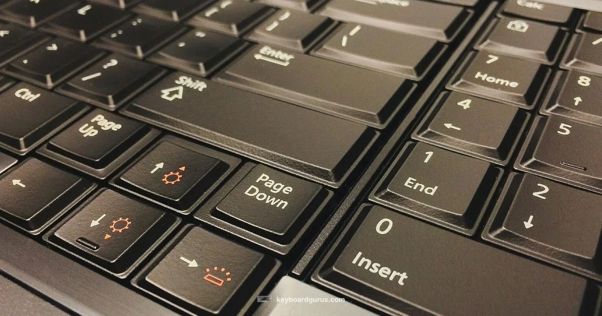 Enlarged Keyboard - Keyboard Gurus