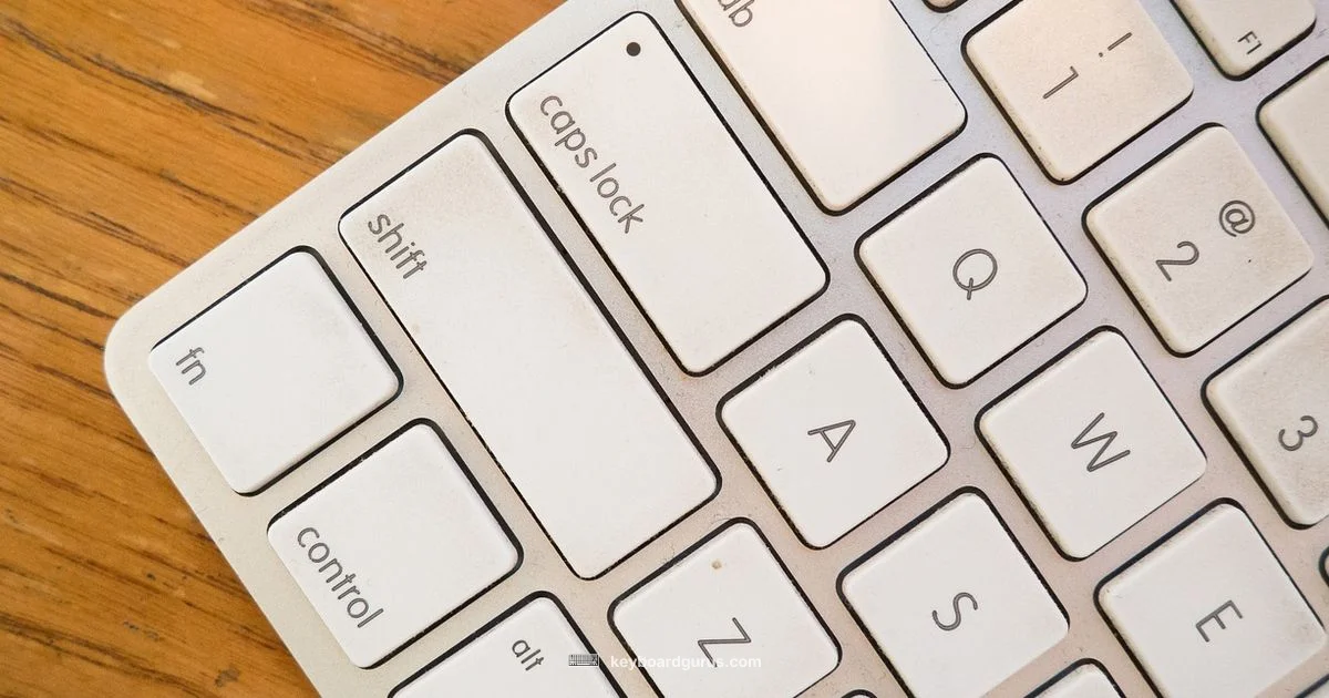 Keyboard Battery Check - Keyboard Gurus